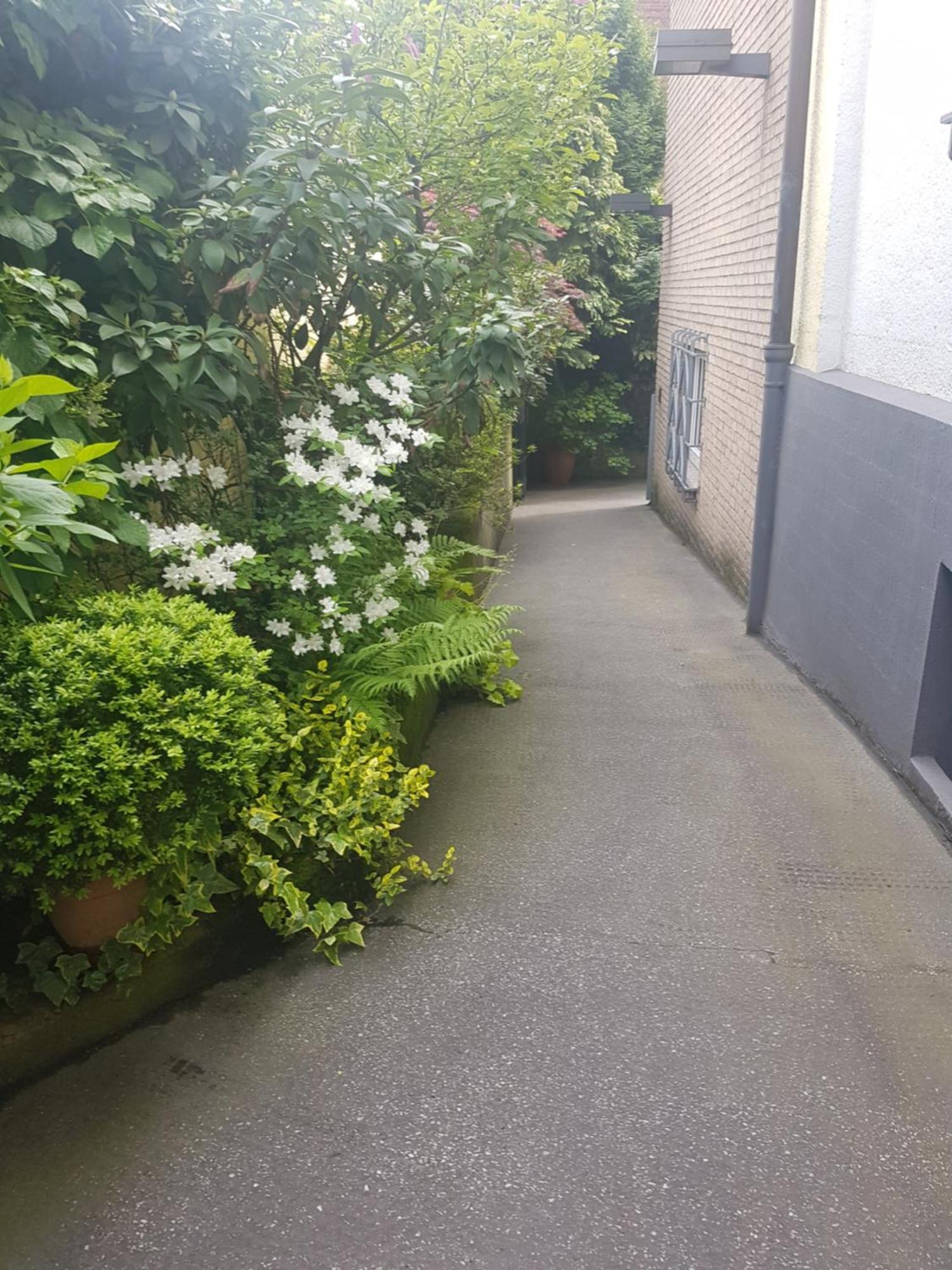 Gaestehaus Krefeld Uerdingen Dış mekan fotoğraf